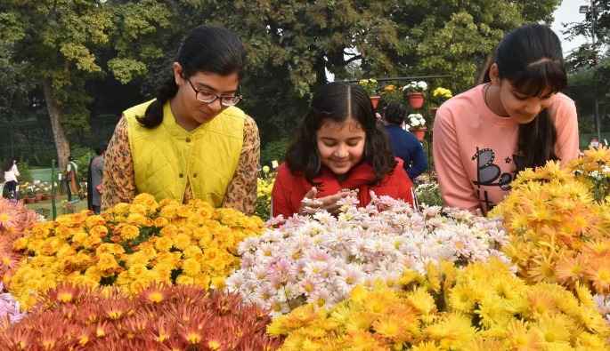 Flower Exhibition Lucknow